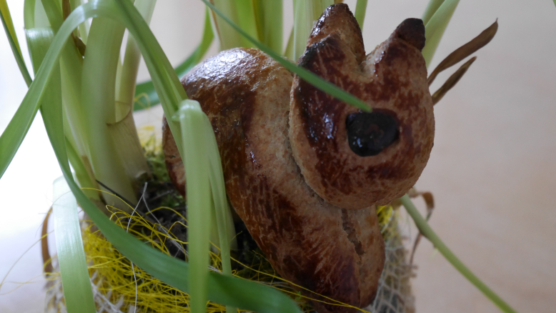 Leckere, luftige Vollkornkrapfen aus Dinkelvollkornmehl